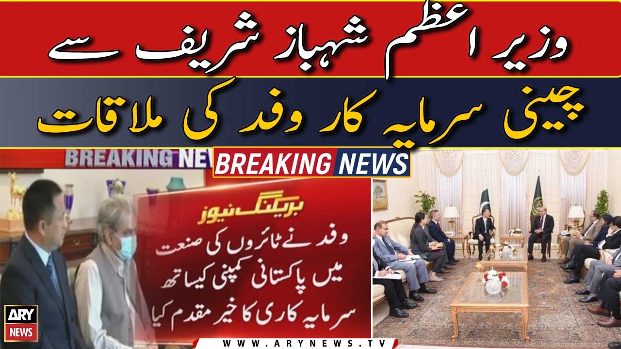 Chinese investor delegation meet PM Shehbaz Sharif