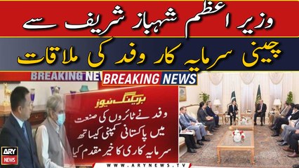 Chinese investor delegation meet PM Shehbaz Sharif