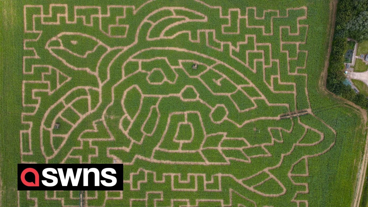 It takes two hours to walk around this maze, can you complete it in two ...