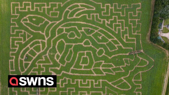 It takes two hours to walk around this maze, can you complete it in two minutes?