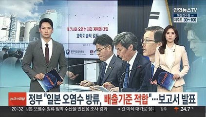 정부 "일본 오염수 방류, 배출기준 적합"…검토보고서 발표