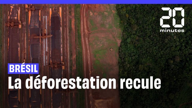 Amazonie : Entre janvier et juin 2023, la déforestation au Brésil à baissé de 34%
