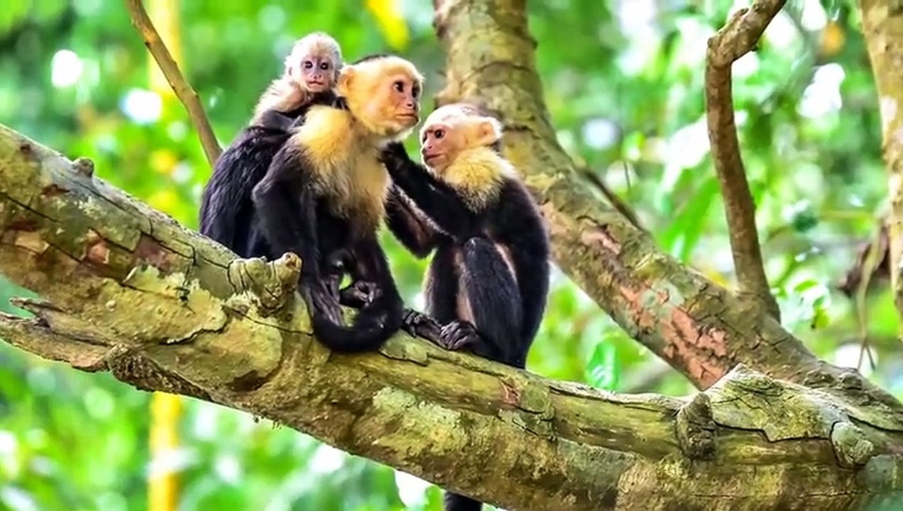 12 Kinder, Die Von Wilden Tieren Großgezogen Wurden