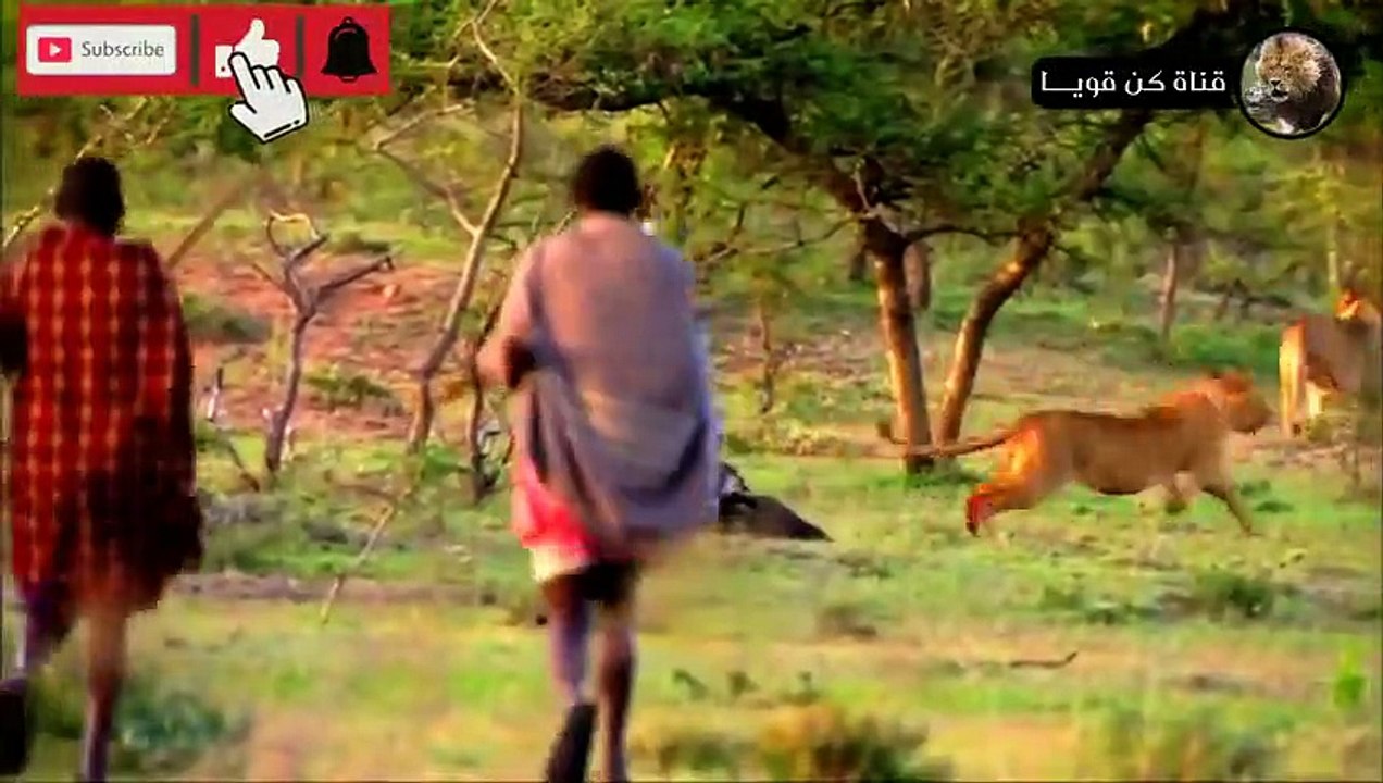 أكثر القبائل غرابة حول العالم  منهم من يطارد الأسود ومنهم من يمشي علي أربع! !