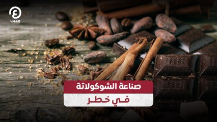 صناعة الشوكولاتة في خطر