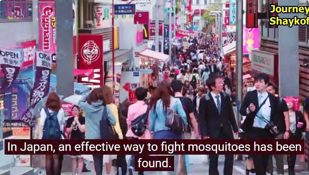 In Japan an effective way to fight mosquitoes has been found video