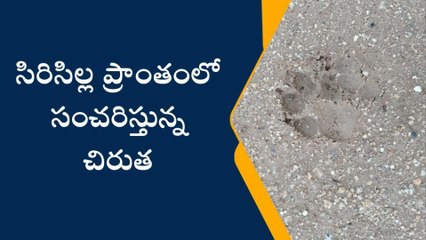 సిరిసిల్ల: కలకలం సృష్టించిన చిరుత పులి అడుగులు