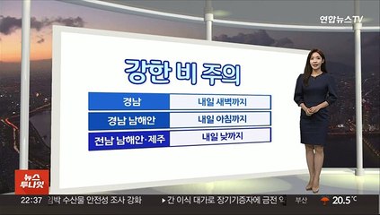 [생활날씨] 내일까지 남부 강한 비…주말 더위 속 소나기