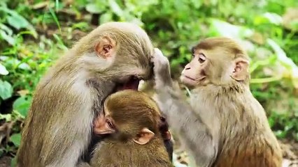 The Ultimate Beauty I hope you can be there one day