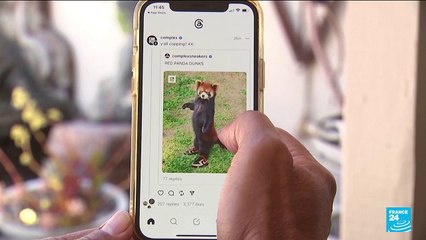 Threads bouscule déjà son concurrent Twitter, Musk menace d'attaquer en justice