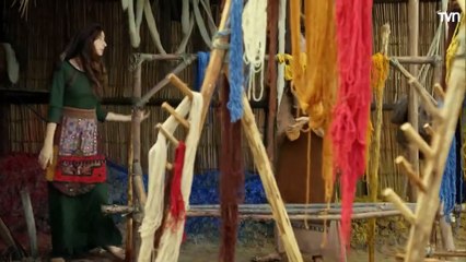 127. Genesis, en español