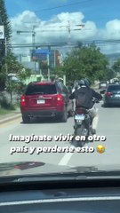Hondureño capta a perro paseándose en moto junto a su dueño