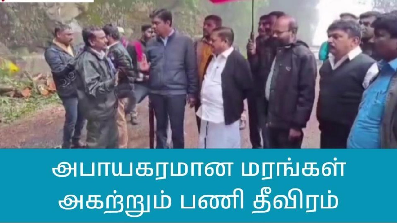நீலகிரி: அபாயகரமான மரங்களை அகற்றும் பணி தீவிரம்!