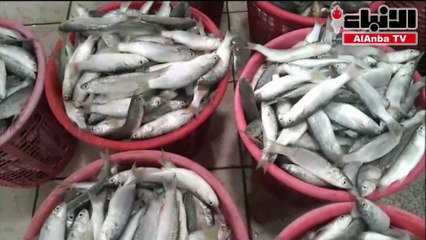 «الأنباء» ترصد أول 50 سلة ميد في سوق السمك لموسم 2023