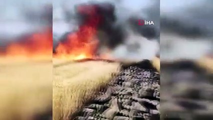 Environ 200 acres de terres cultivées transformées en cendres à Diyarbakır