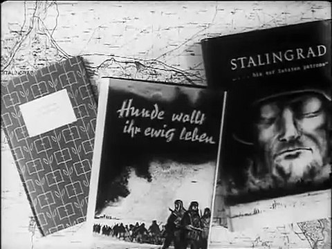 Chiens, à vous de crever Bande-annonce (EN)