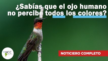 ¿Sabías que el ojo humano no percibe todos los colores? | 567 | 10 al 16 de Julio de 2023