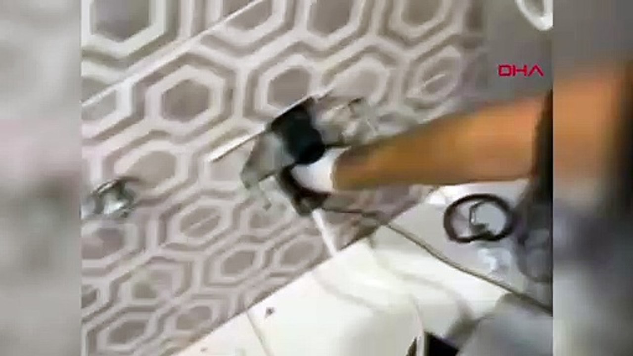 Un chaton coincé dans des toilettes à Bodrum sauvé par les pompiers