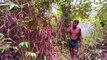 Five Stars Bushman Harvesting Honey Beehive in Jungle survival