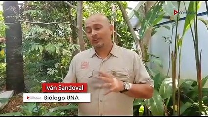 ext-cocodrilos-070723