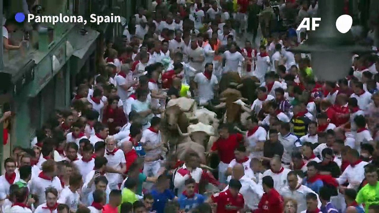 Six hurt in first bull run of Spain's San Fermin festival