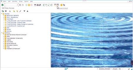BP Creating a Destination for Existing Business Partner
