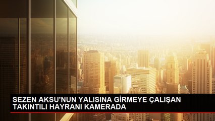 Sezen Aksu'nun yalısına zorla girmeye çalışan hayranı sınır dışı edildi