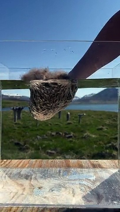 The Incredible Hydrophobic Qualities of Icelandic Eiderdown