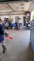 Pup Smashes Ball at Catcher’s Groin With Baseball Bat