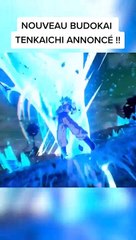 NOUVEAU BUDOKAI TENKAICHI ANNONCÉ !!
