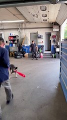 Pup Smashes Ball at Catcher’s Groin With Baseball Bat