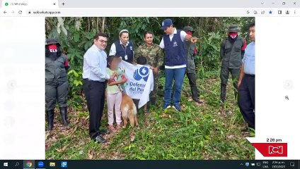 ELN liberó a la sargento secuestrada junto a sus dos hijos