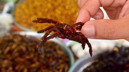 ¡Desafio mortal! Solo los valientes se atreverían a comer tarántulas