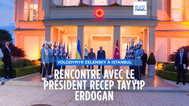 Guerre en Ukraine : Volodymyr Zelensky en Turquie à la veille du 500e jour de l'invasion russe