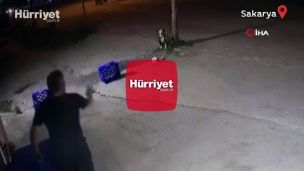 Dehşete düşüren görüntü! Ağaca bağlı köpeğine bir şarjör mermi sıktı