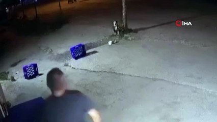 Sakarya'da dehşete düşüren görüntüler kamerada: Köpeğe mermi yağdırdı