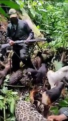 Cazadores alardean haber cazado un jaguar en Olancho