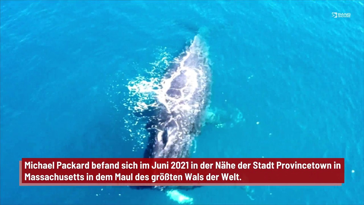 Mann überlebt, nachdem er von einem Wal verschluckt wurde