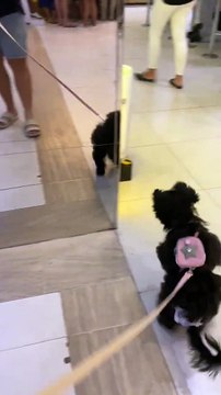 La première fois que Gabbie voit son reflet