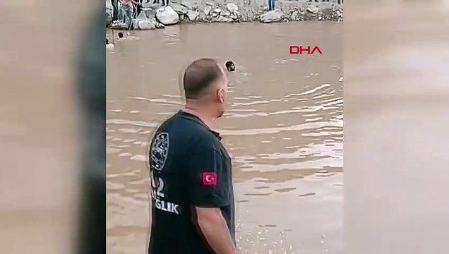 Un jeune berger iranien s'est noyé dans un étang