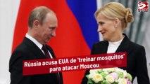 Rússia acusa EUA de 'treinar mosquitos' para atacar Moscou
