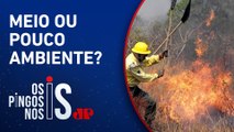 Primeiro semestre do novo mandato de Lula é marcado pelo aumento do desmatamento e queimadas