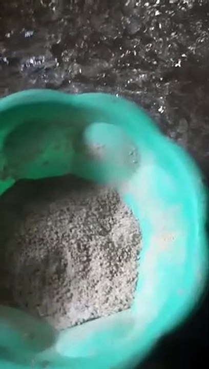 Pakan adukan ayam kampung