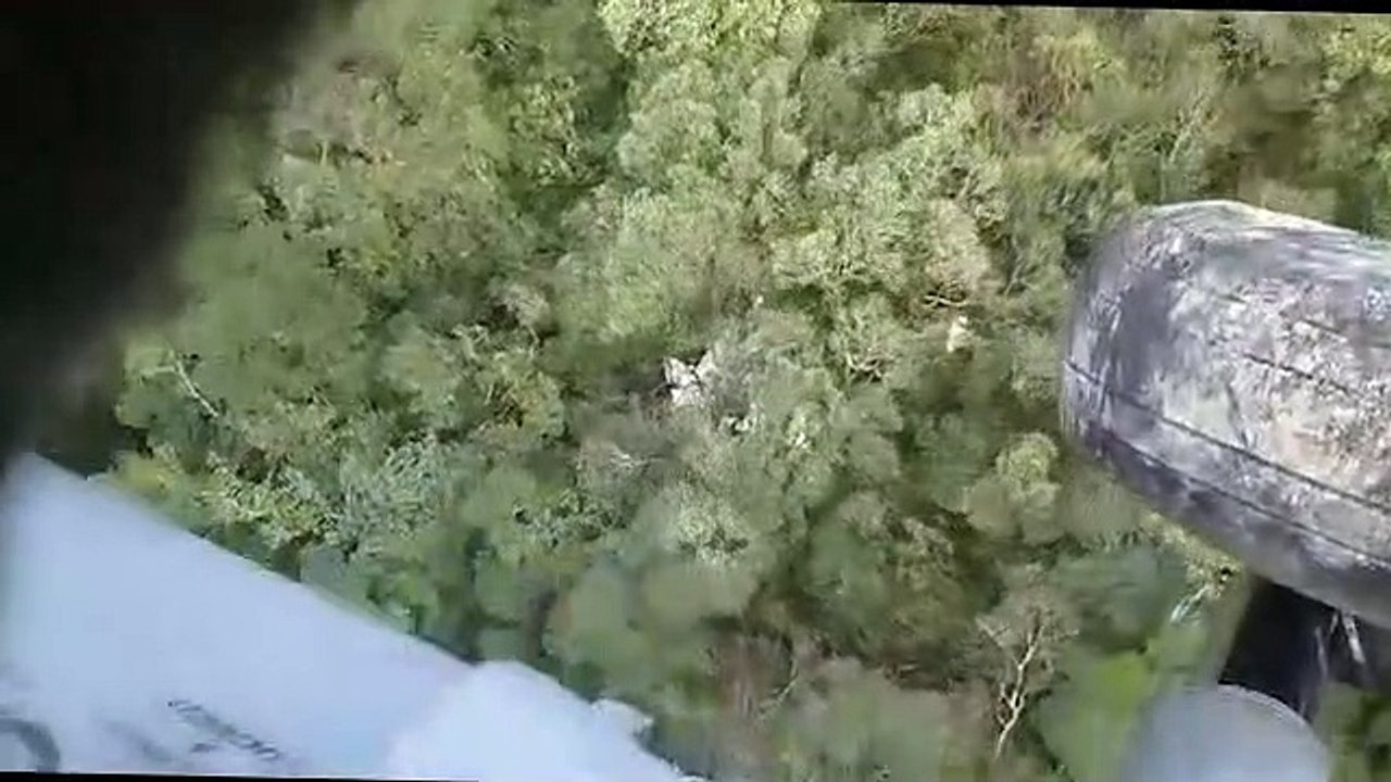Imagens mostram destroços de avião que caiu na Serra do Mar; veja vídeo