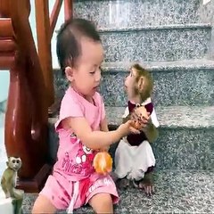 Pitiful Monkey vs Child