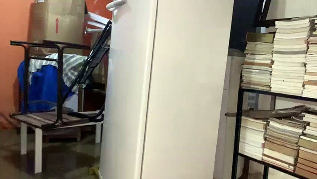 Após transbordamento de rio, água invade casas em Colônia Leopoldina