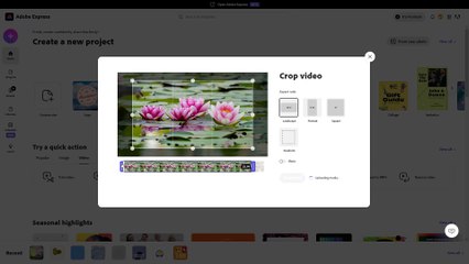 Adobe Express Course Section 46 Cropping Video