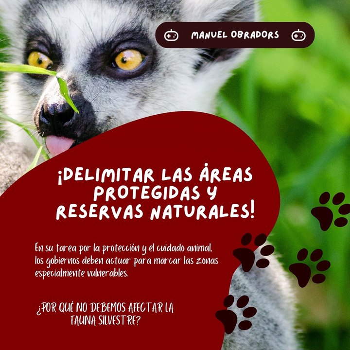 |MANUEL OBRADORS| ¿POR QUÉ NO DEBEMOS AFECTAR LA FAUNA SILVESTRE? (PARTE 1) (@MANUELOBRADORS)