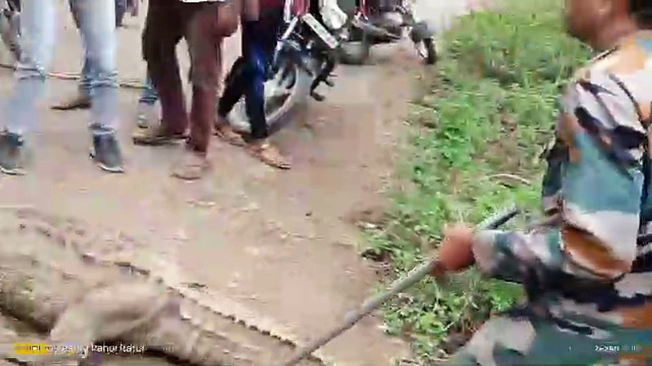किनारे पर लगा चेतावनी का बोर्ड फिर भी लगा रहे डूबकी, मगरमच्छ दिखा तो जमा हो गई भीड़
