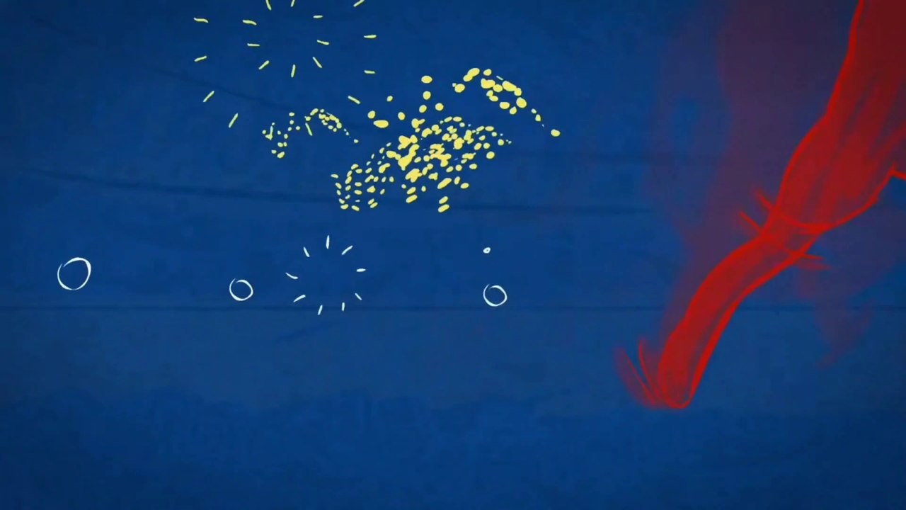 Portugal vs Ukraine - Highlights Women's Friendly Football ⚽